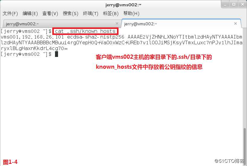 【讲清楚，说明白！】使用SSH安全管理远程主机