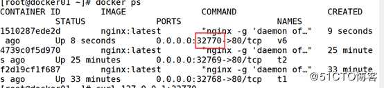 Docker数据持久化(1)