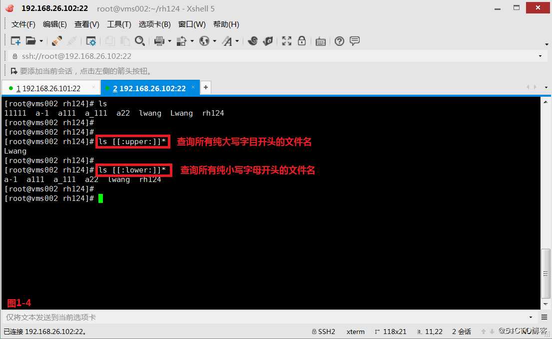 【我的Linux，我做主！】通配符和正则表达式深层解析