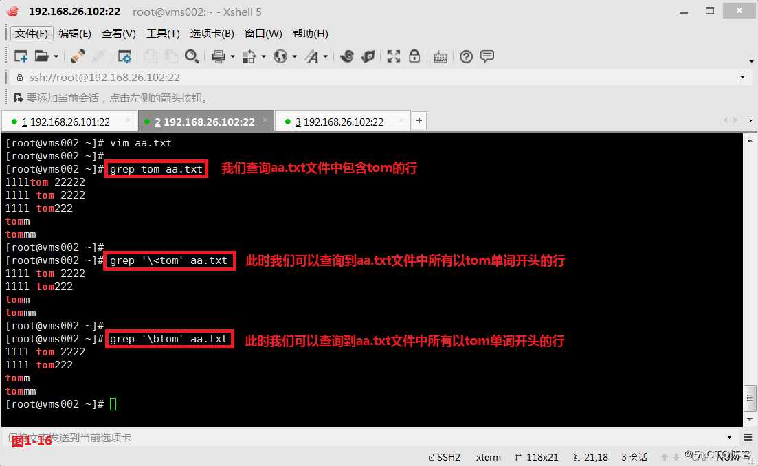 【我的Linux，我做主！】通配符和正则表达式深层解析