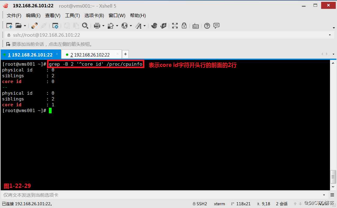 【我的Linux，我做主！】通配符和正则表达式深层解析