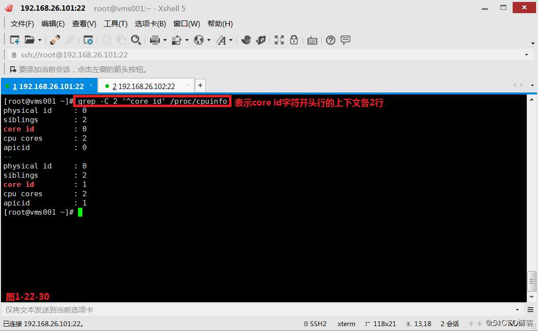 【我的Linux，我做主！】通配符和正则表达式深层解析