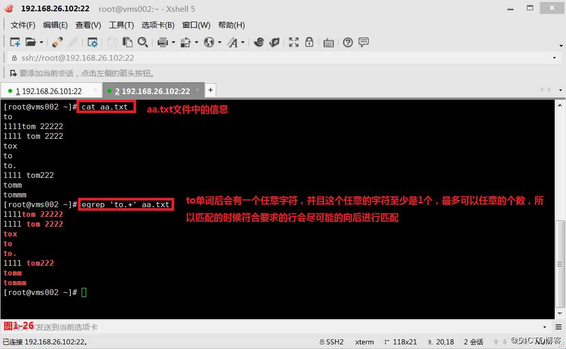 【我的Linux，我做主！】通配符和正则表达式深层解析