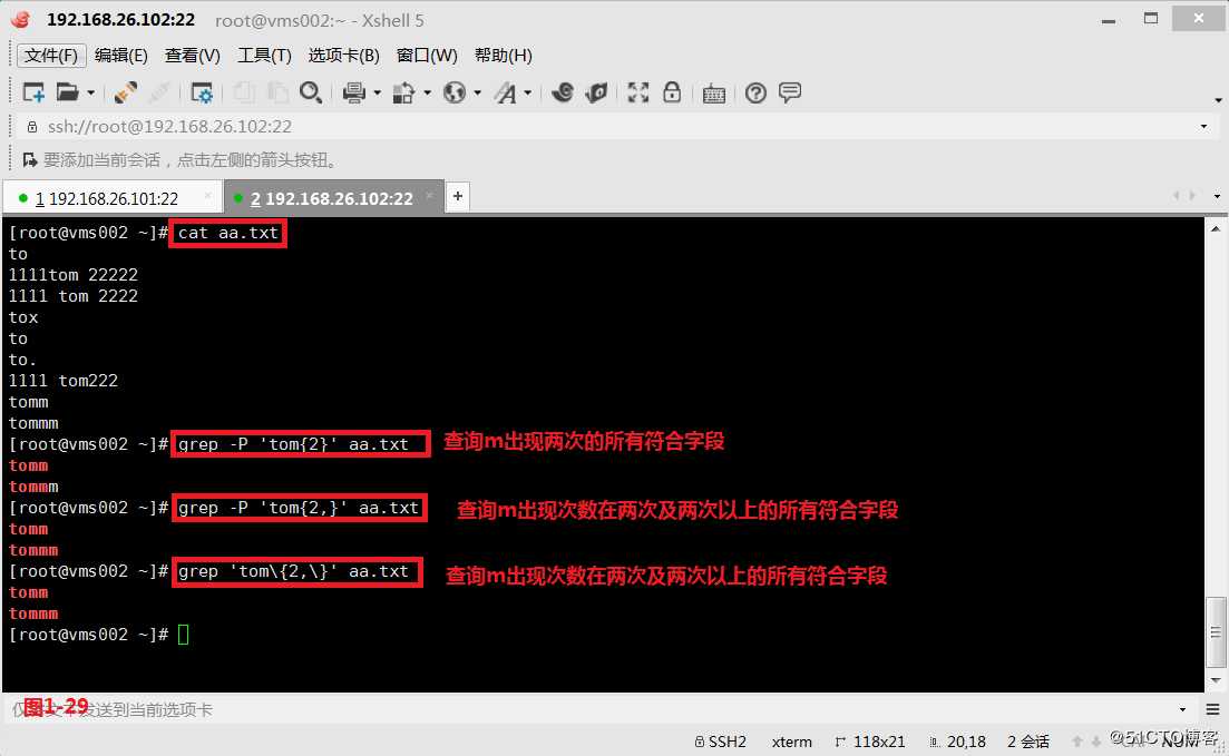 【我的Linux，我做主！】通配符和正则表达式深层解析