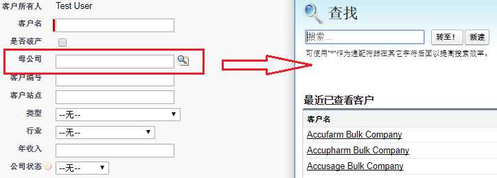 Visualforce 中的 Lookup 组件