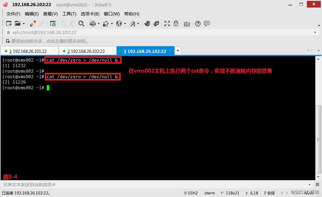 【讲清楚，说明白！】进程管理