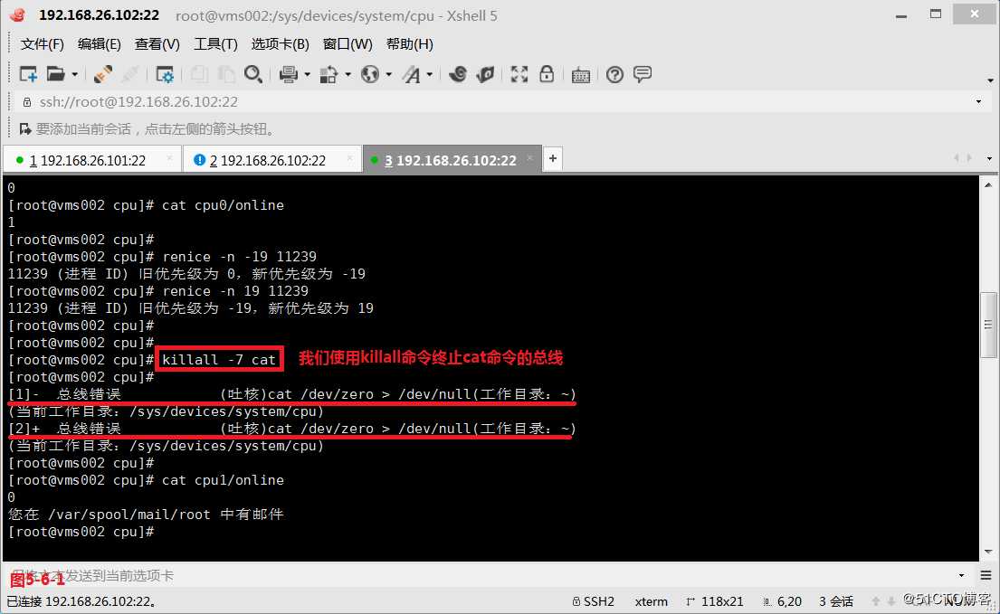 【讲清楚，说明白！】进程管理