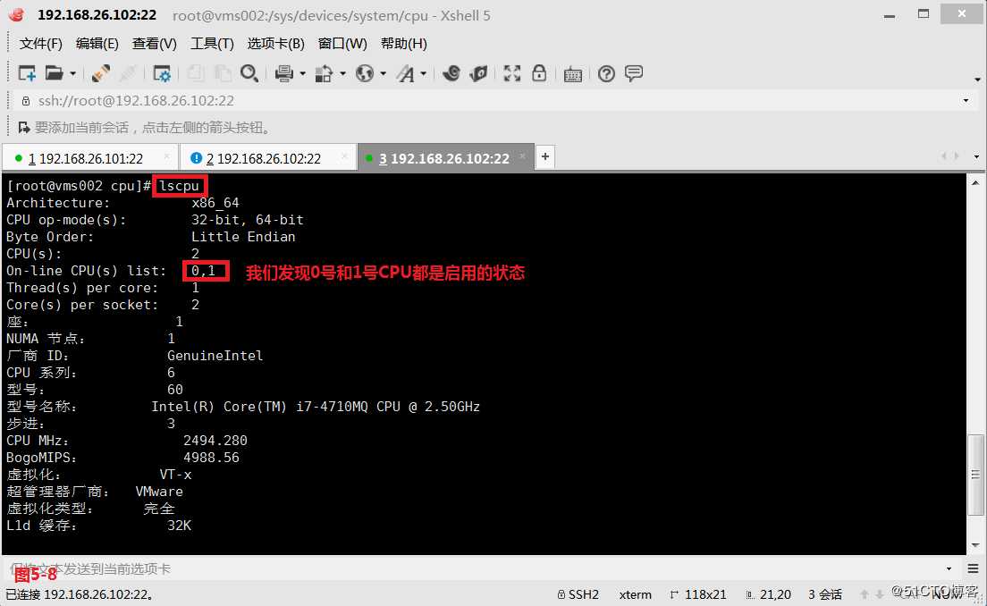 【讲清楚，说明白！】进程管理