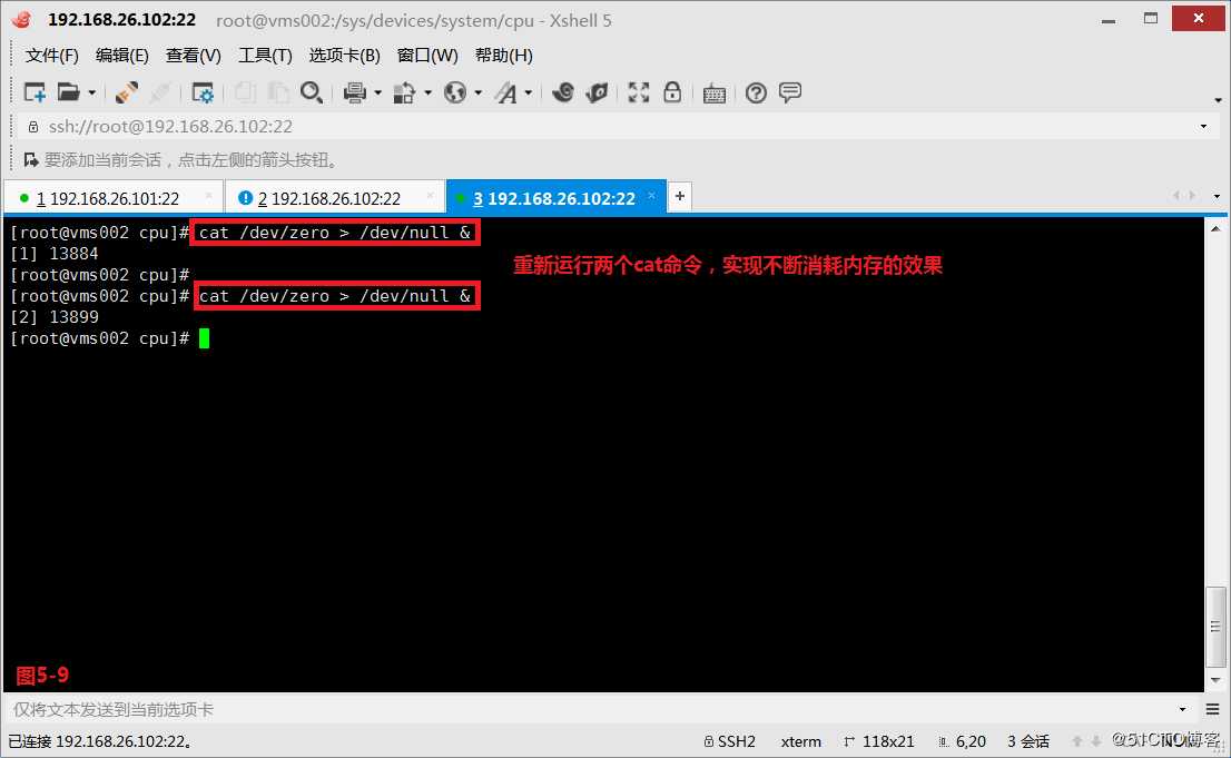【讲清楚，说明白！】进程管理