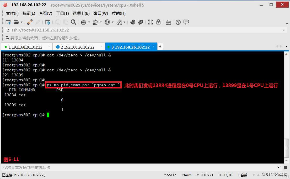 【讲清楚，说明白！】进程管理