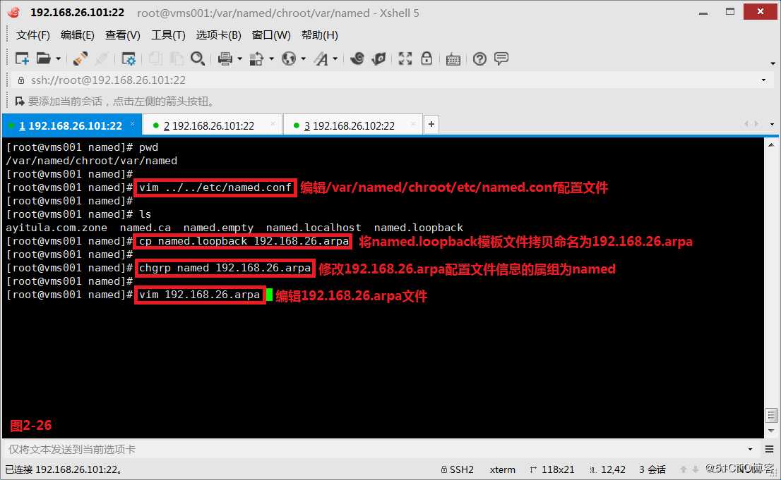 【讲清楚，说明白！】DNS域名解析服务实现原理之二--智能解析