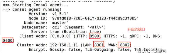 Docker + Consul + registrator实现服务发现及nginx反向代理