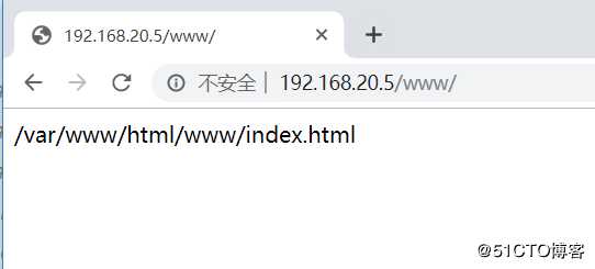 搭建Nginx服务器及深度优化