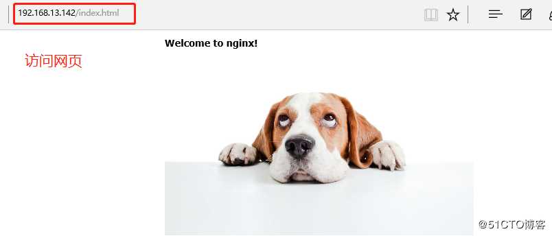 Nginx优化