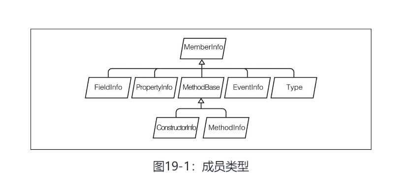 成员类型