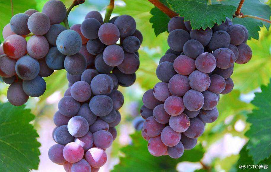 04-2python语法入门之基本数据类型