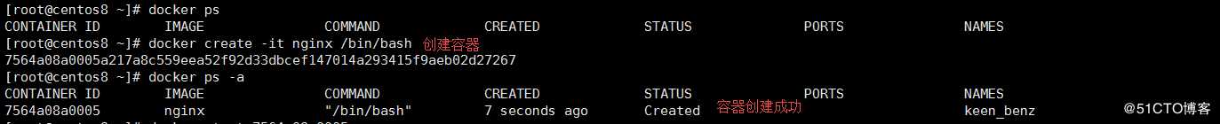 Docker 容器操作