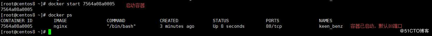 Docker 容器操作