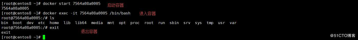 Docker 容器操作