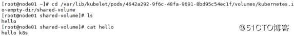 k8s存储数据持久化，emptyDir，hostPath，基于Nfs服务的PV，PVC