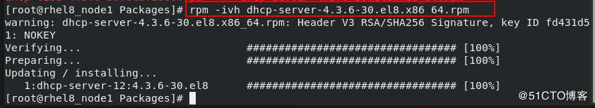 Linux下的网络环境部署1.1（ip，dhcp服务器的搭建）